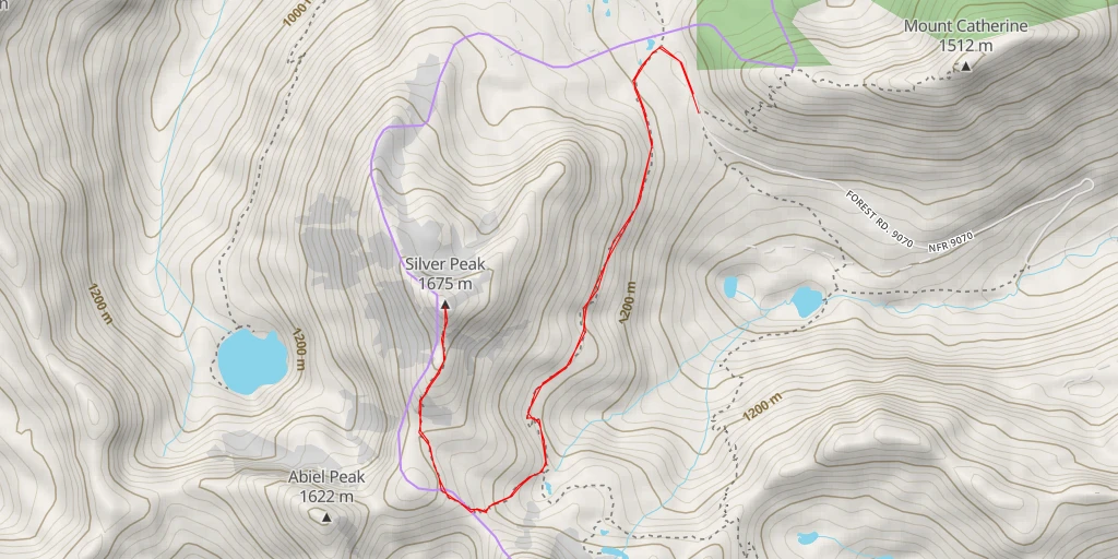 Map of the trail for Silver Peak