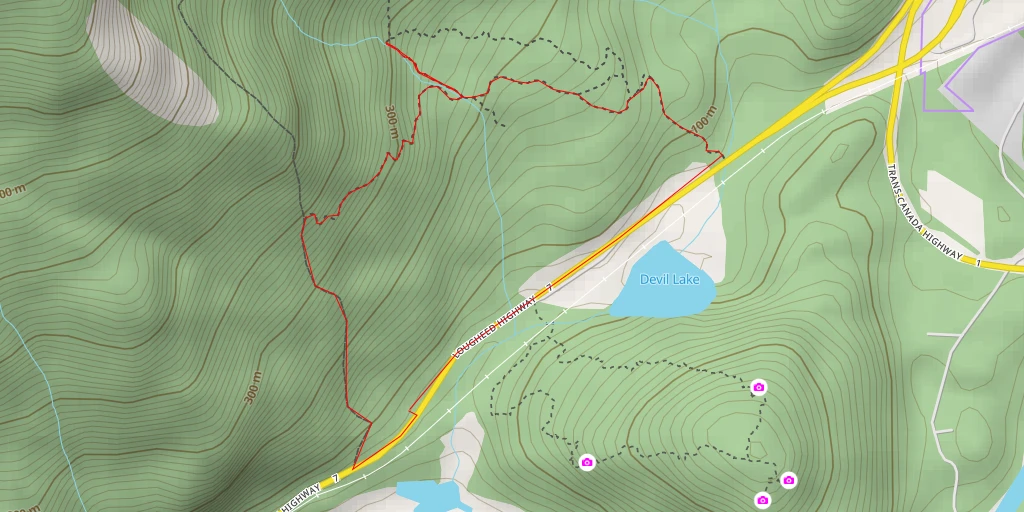 Map of the trail for Dog Mountain Falls