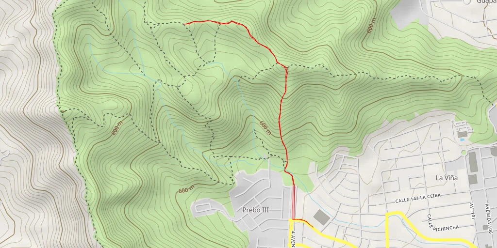 Map of the trail for 4 Avenidas