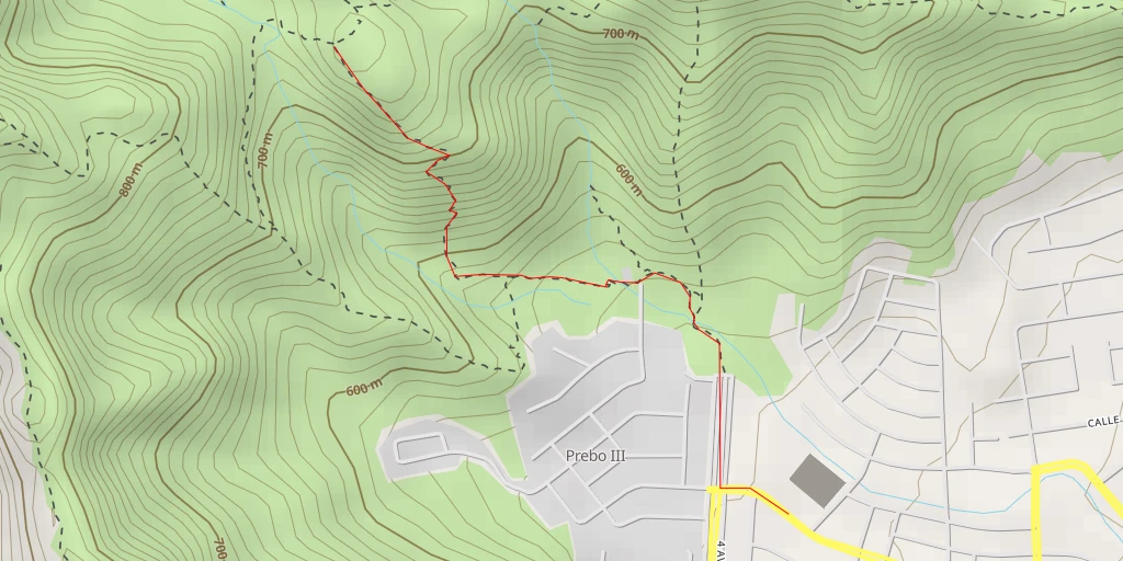 Map of the trail for 4 Avenidas