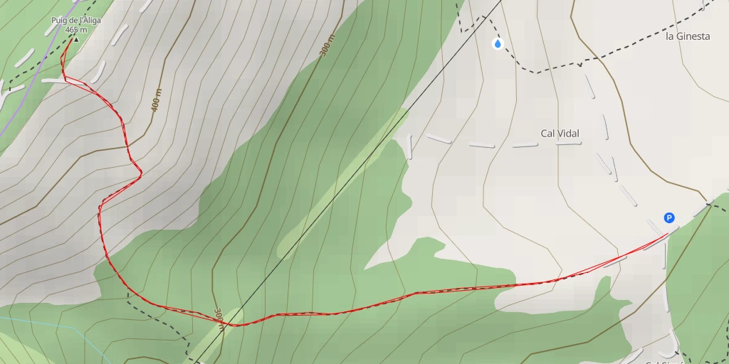 Map of the trail for Puig de l'Àliga