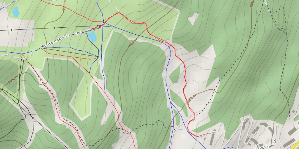 Carte de l'itinéraire :  Pradalago-Campiglio - Pradalago-Campiglio