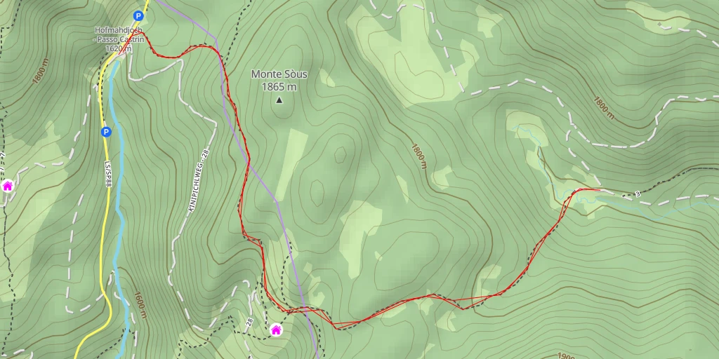 Carte de l'itinéraire :  Strada forestale Malga Castrin - Strada forestale Malga Castrin