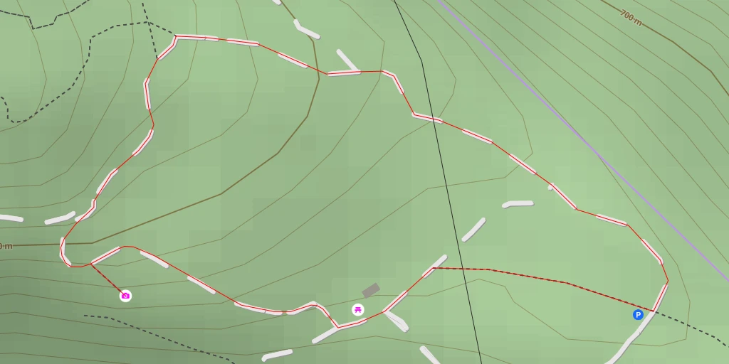 Map of the trail for Strada forestale Carbonaia - Trento