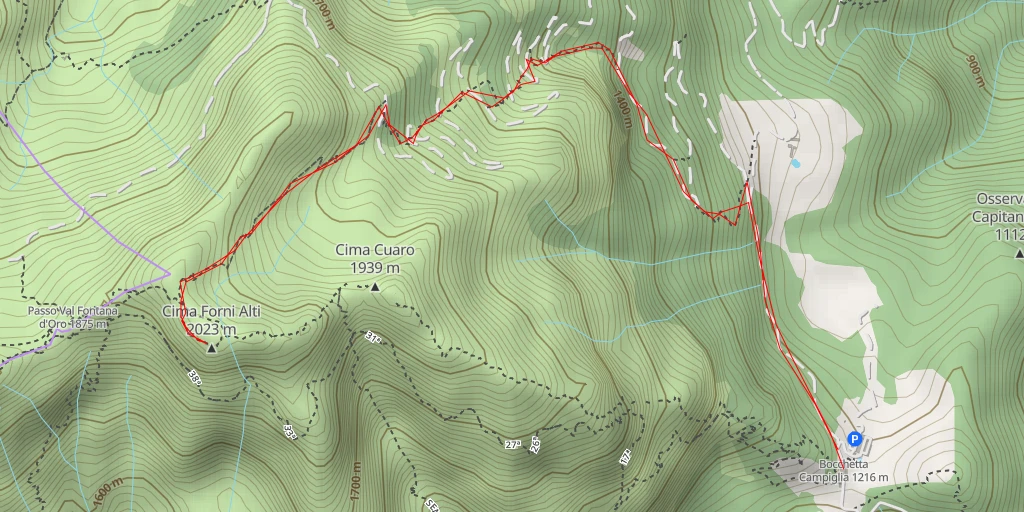 Map of the trail for Cima Forni Alti