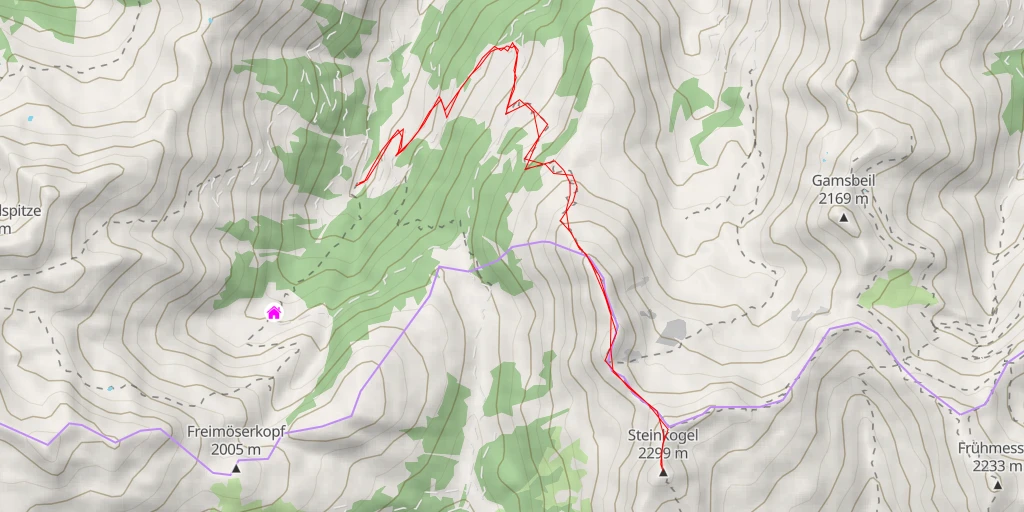 Carte de l'itinéraire :  Steinkogel