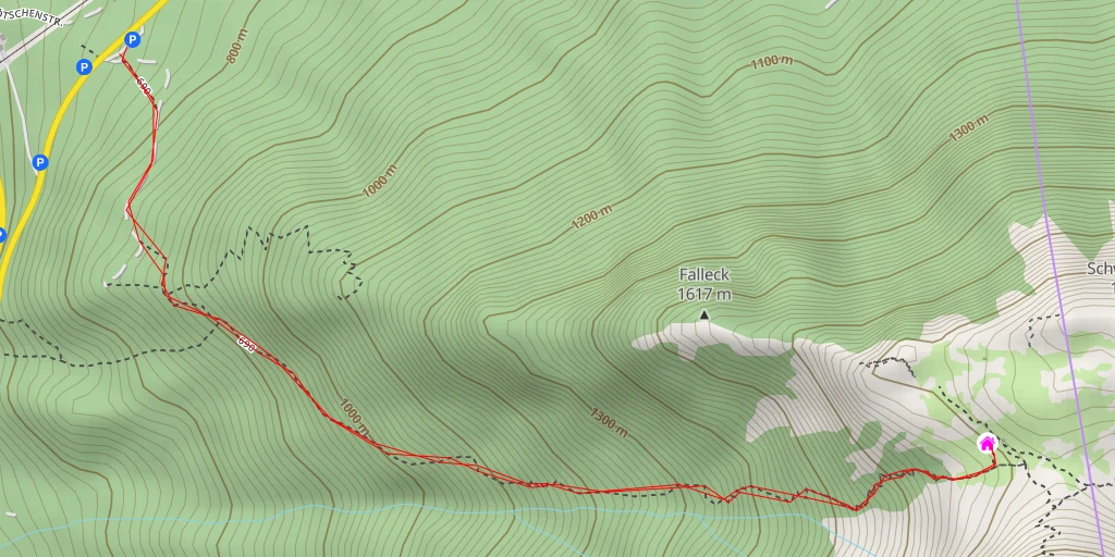 Carte de l'itinéraire :  Sarsteinalm Bad Goisern