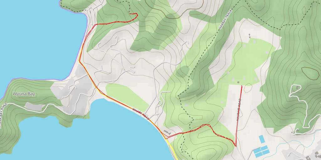 Map of the trail for Kauri tree viewpoint