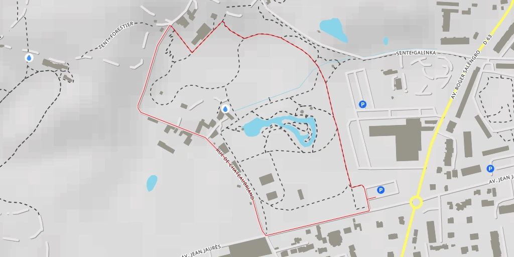 Carte de l'itinéraire :  Arboretum du Parc de la Vallée-aux-Loups - Chemin des Martyrs de la Résistance