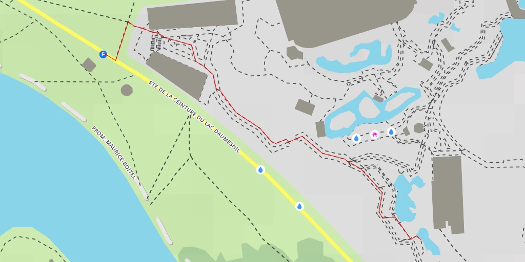 Carte de l'itinéraire :  Manchot de Humboldt - Route de la Ceinture du Lac Daumesnil - Paris