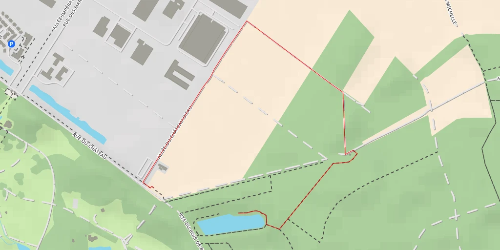 Carte de l'itinéraire :  Route du Bois de Bussy - Route du Bois de Bussy