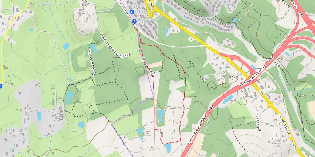 Map of the trail for Chemin des Plasses - Chemin des Plasses