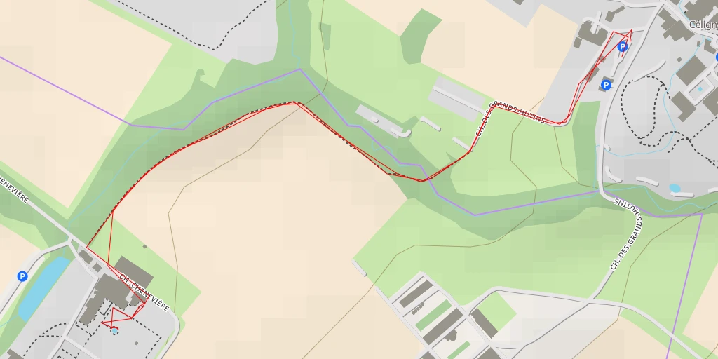 Carte de l'itinéraire :  Chemin Chenevière