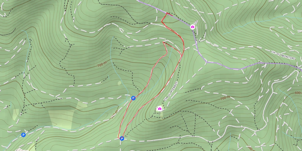 Carte de l'itinéraire :  Chemin du Montori - Chemin du Montori - Masevaux-Niederbruck