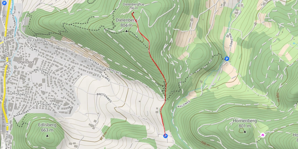 Map of the trail for Dielenbergflue