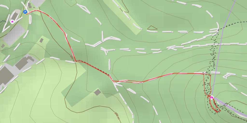 Map of the trail for Buhlsteingrat