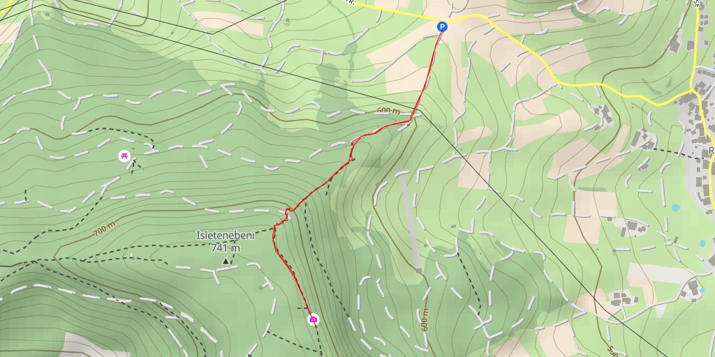 Map of the trail for Rickenbacher Flue