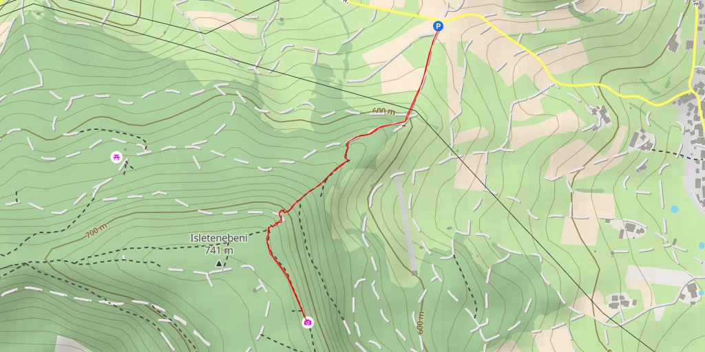 Map of the trail for Rickenbacker Flue