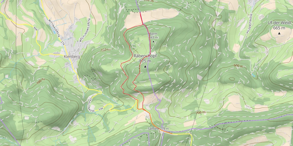 Carte de l'itinéraire :  Burgfluh