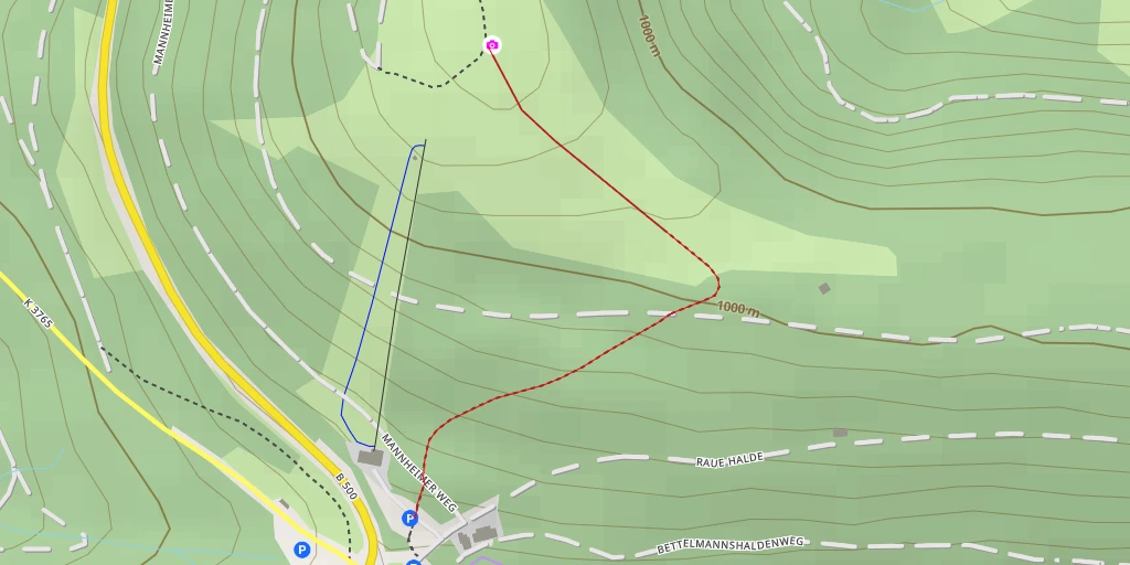 Map of the trail for Hochkopf - Bühl