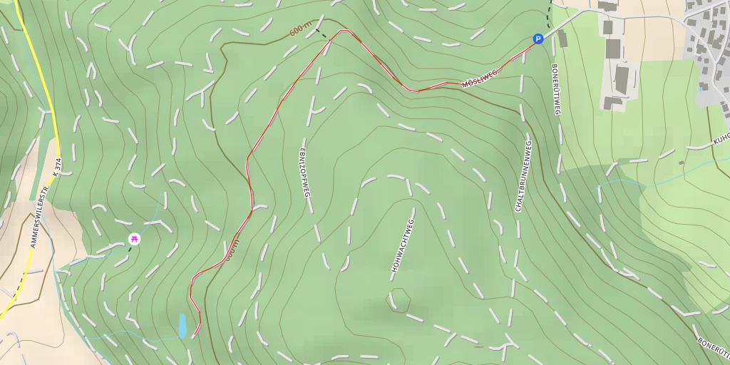 Map of the trail for Rietenbergweg - Rietenbergweg