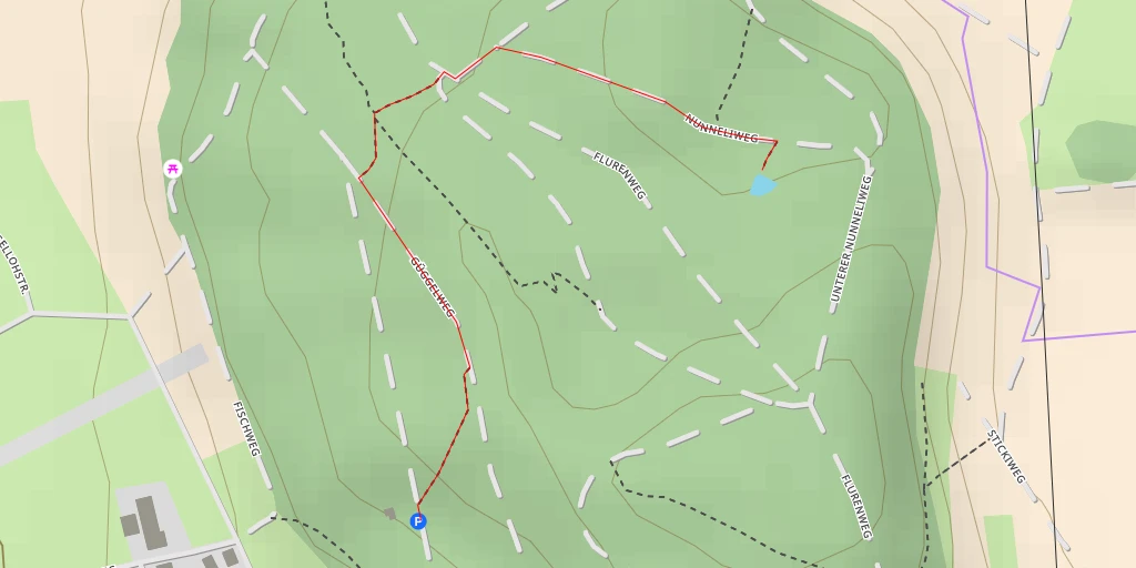 Map of the trail for Nunneliweg - Nunneliweg