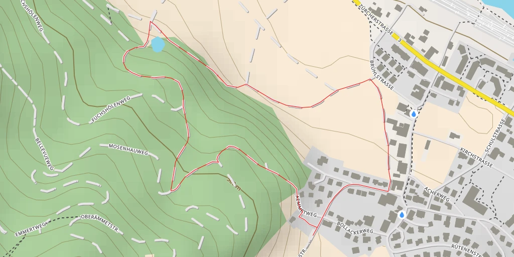 Carte de l'itinéraire :  Mosenhauweg - Mosenhauweg