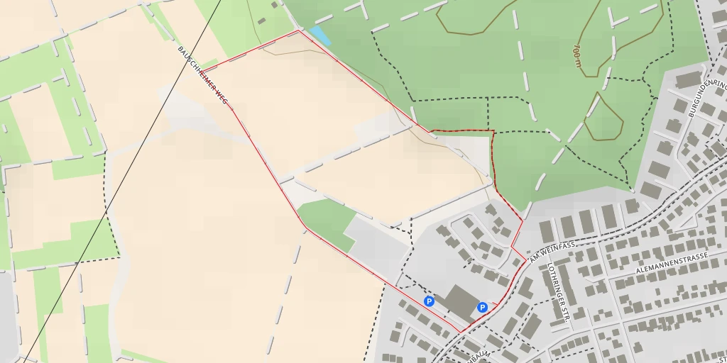 Map of the trail for Bauschheimer Weg - Bauschheimer Weg - Rüsselsheim am Main