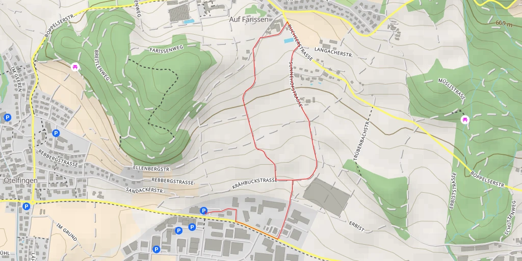 Map of the trail for Buchserstrasse