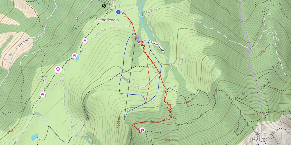 Carte de l'itinéraire :  Gruebi Düssen - Rigi Kulm