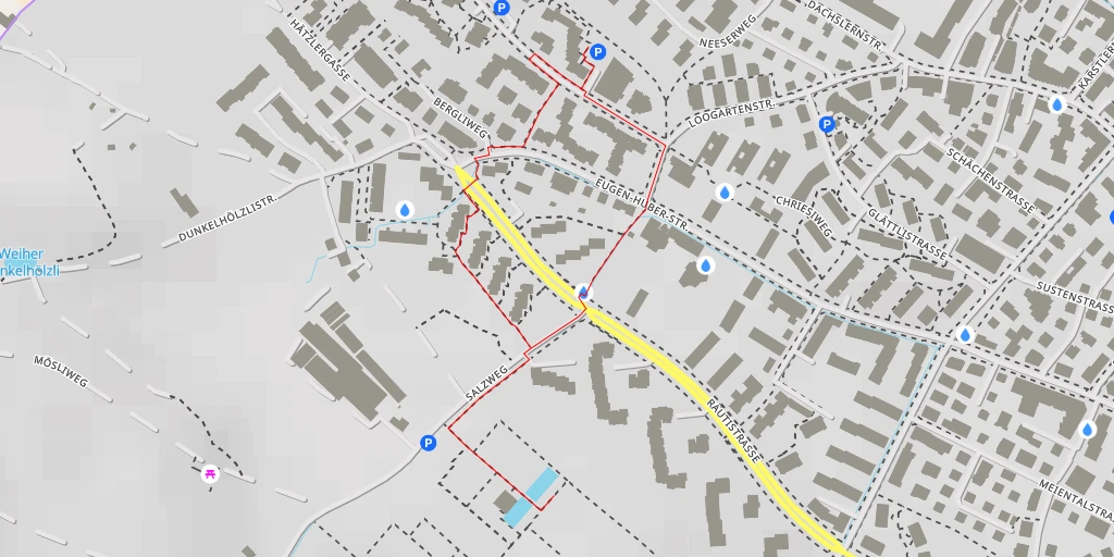 Carte de l'itinéraire :  Salzweg - Zürich