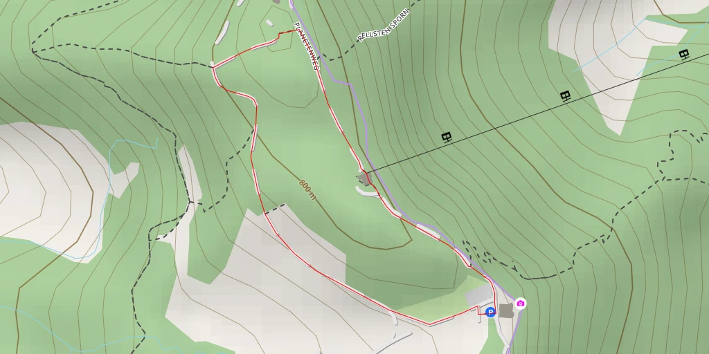 Carte de l'itinéraire :  Felsenegg