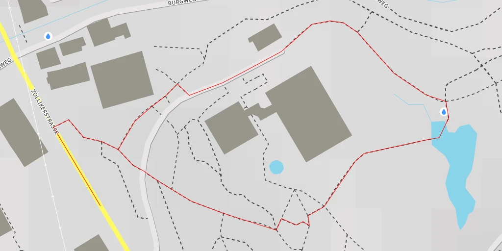 Carte de l'itinéraire :  Botanischer Garten der Universität Zürich - Zollikerstrasse - Zürich