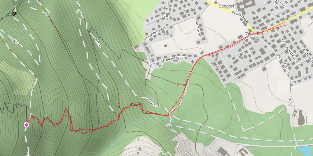 Carte de l'itinéraire :  Rütli - Seedorf UR