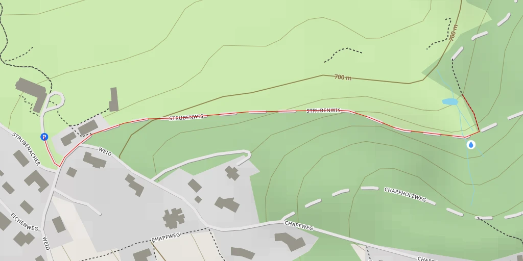 Map of the trail for Strubenwis