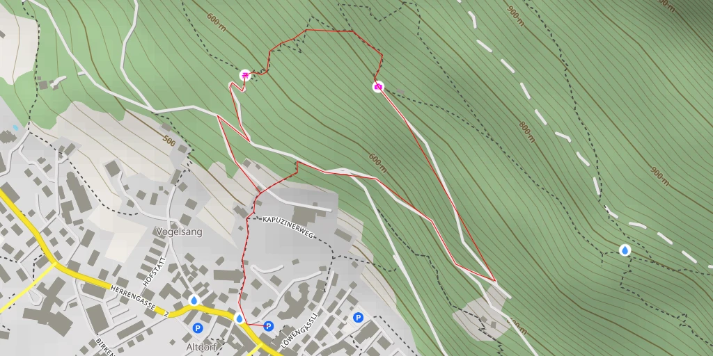 Map of the trail for Luegi