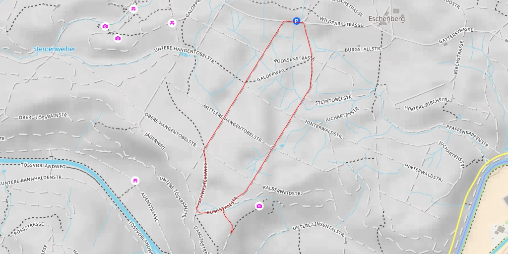 Carte de l'itinéraire :  Gamserstrasse - Winterthur