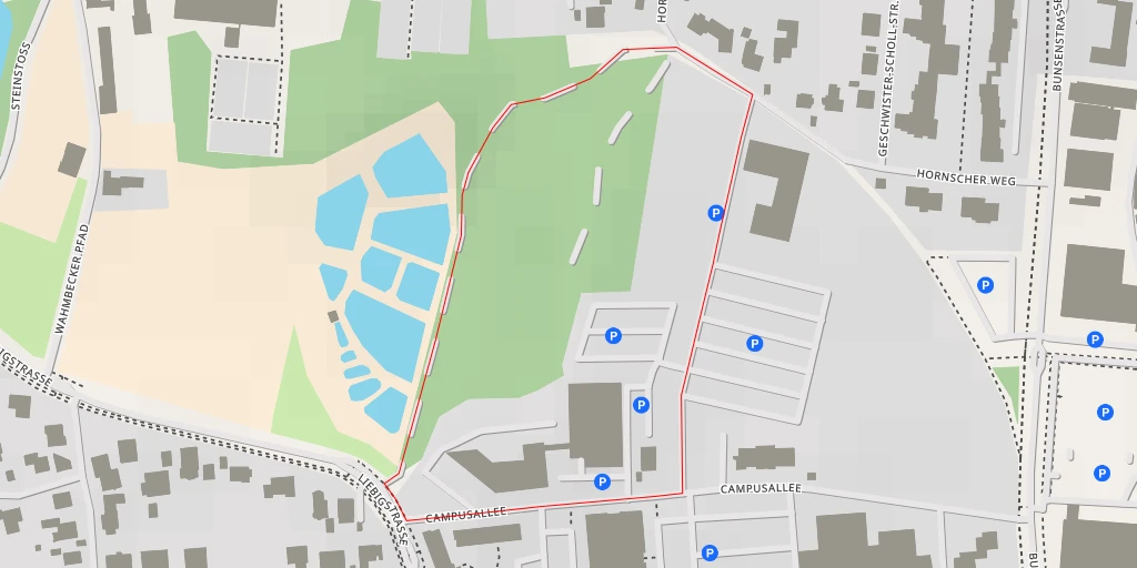 Map of the trail for Liebigstraße - Liebigstraße