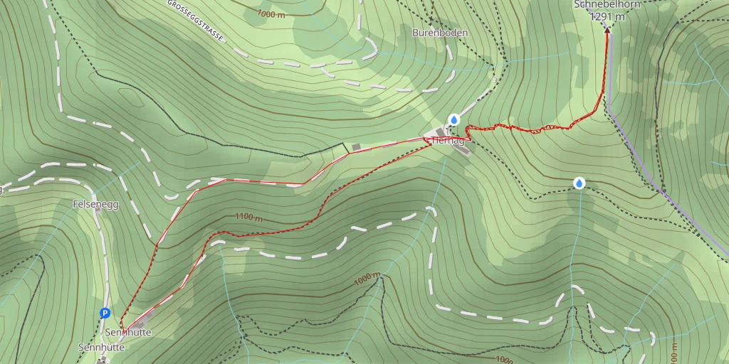 Map of the trail for Schnebelhorn