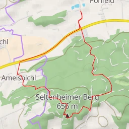 route thumbnail Seltenheimer Berg