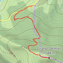 route thumbnail Grand Delmas