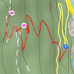 route thumbnail D 117 - Salins-Fontaine