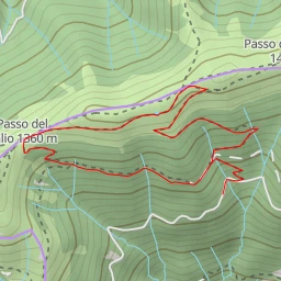 route thumbnail Sentiero dei Grandi Alberi - Morterone